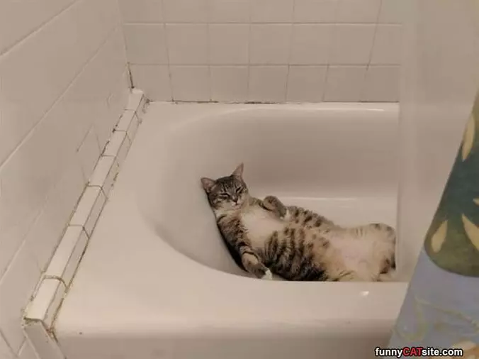 Lounging In The Tub