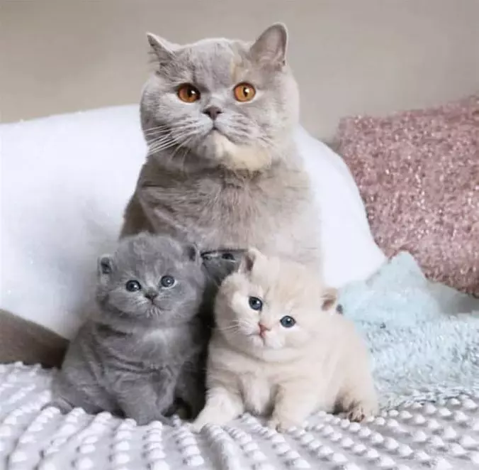 Got My Family Here