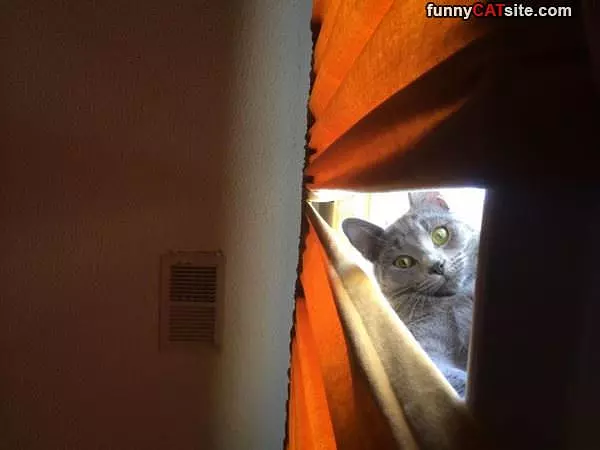 Hey Whats Up