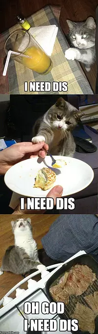 I Needs Dis