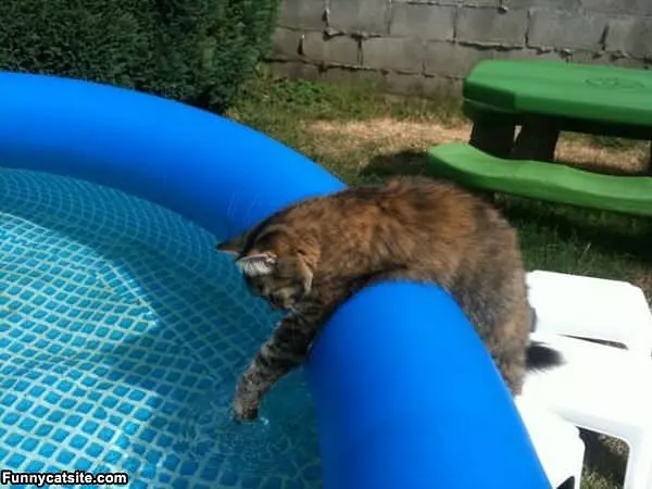 Testing The Water
