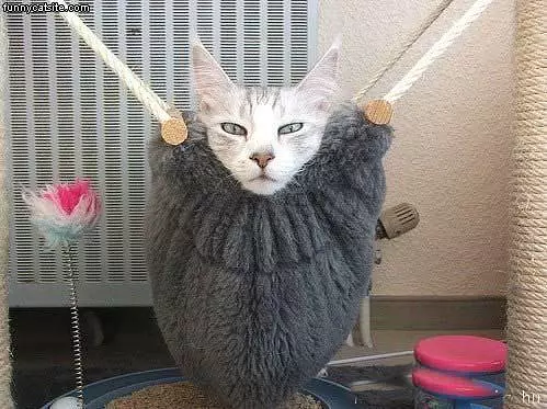 Hanging Around