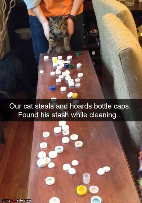 Found His Stash