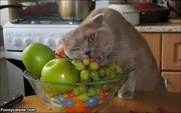 Mmmmmm Grapes