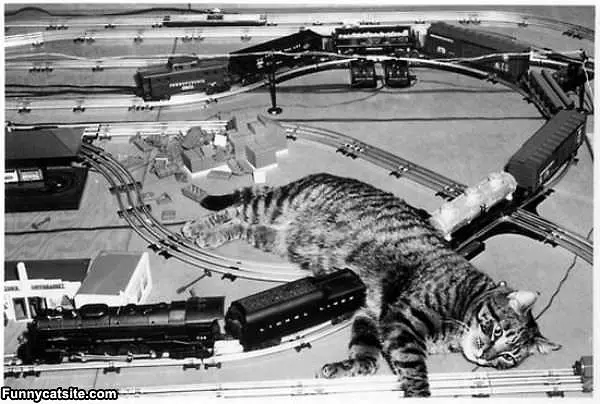 Train Out Of Order