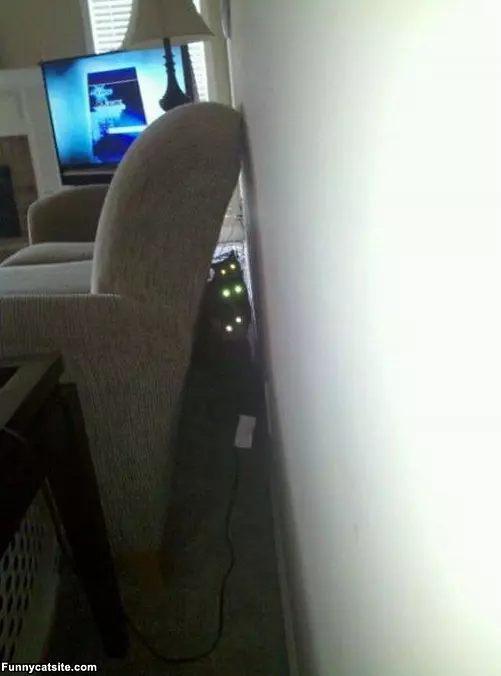 You Have Been Detected