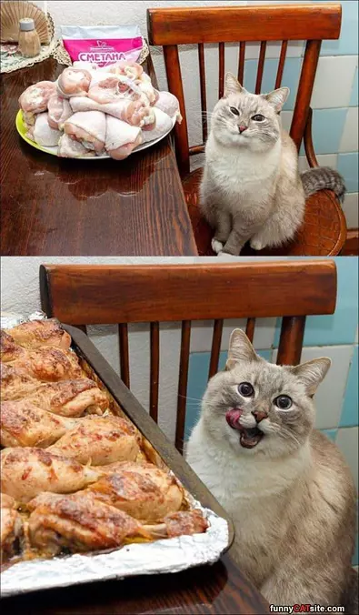 Can I Sample It