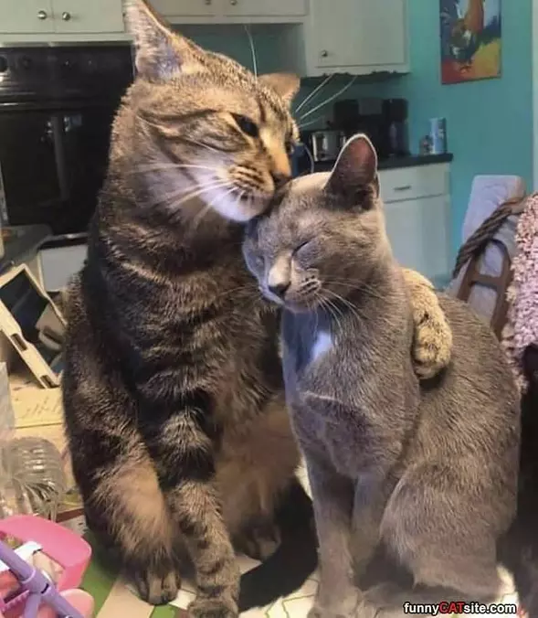 It Will Be Ok