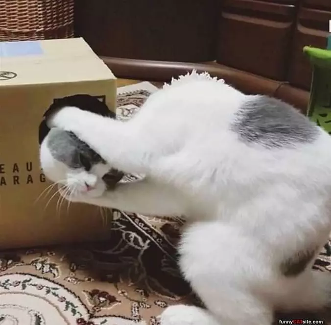 Get Out Of There