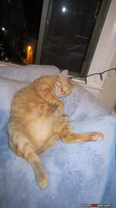 How Bob Naps