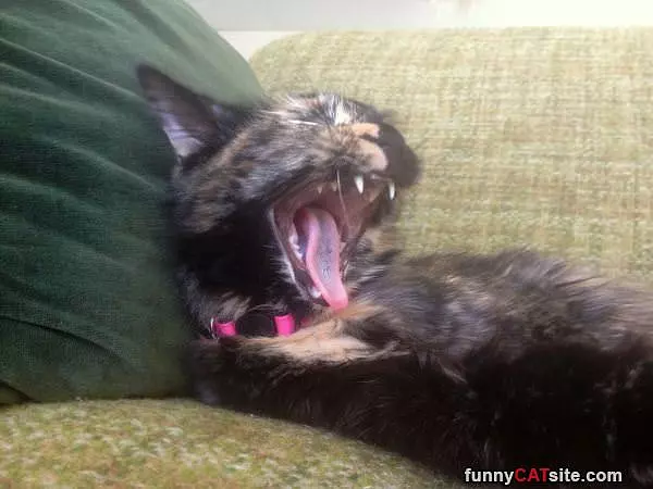 Super Duper Yawn