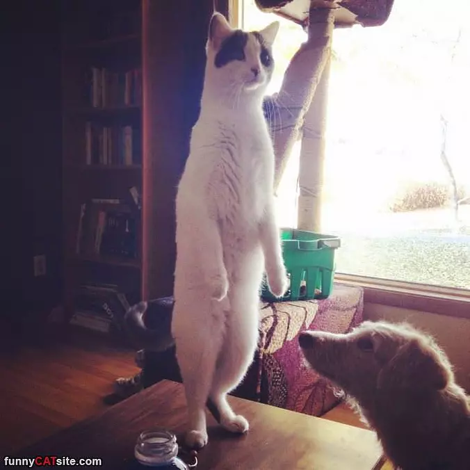 What Is Over There Right Now