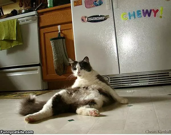 Someone Say Tuna
