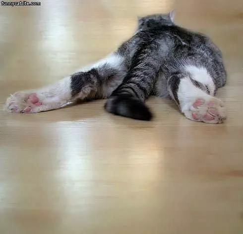Chillaxin