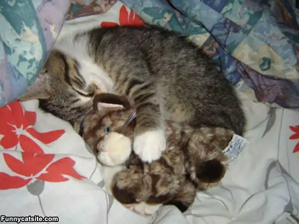 All Curled Up At