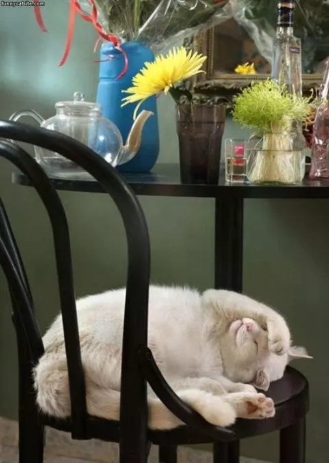 Rough Day