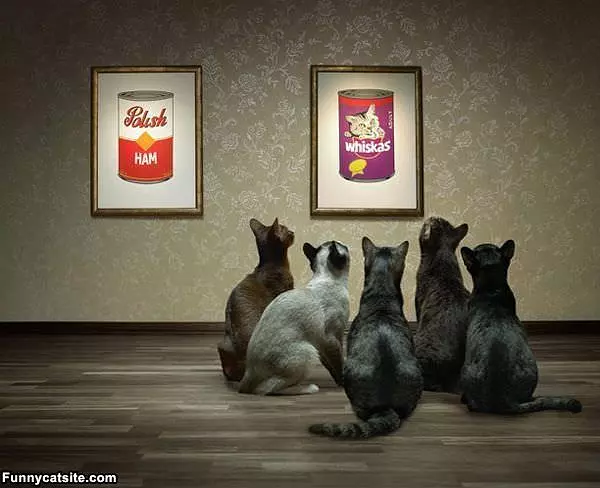 Whiskas