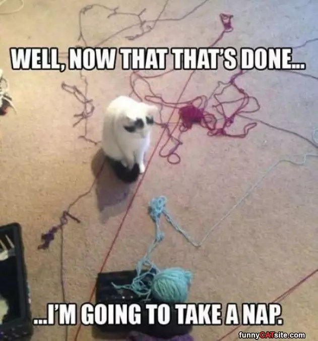 Now That Is Done