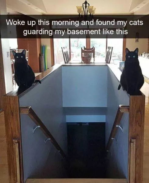 Good At Naps Business