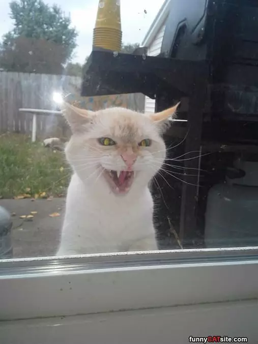 Grrrrrrrr