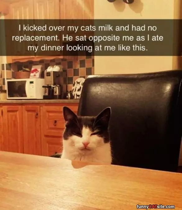 Why You Do That