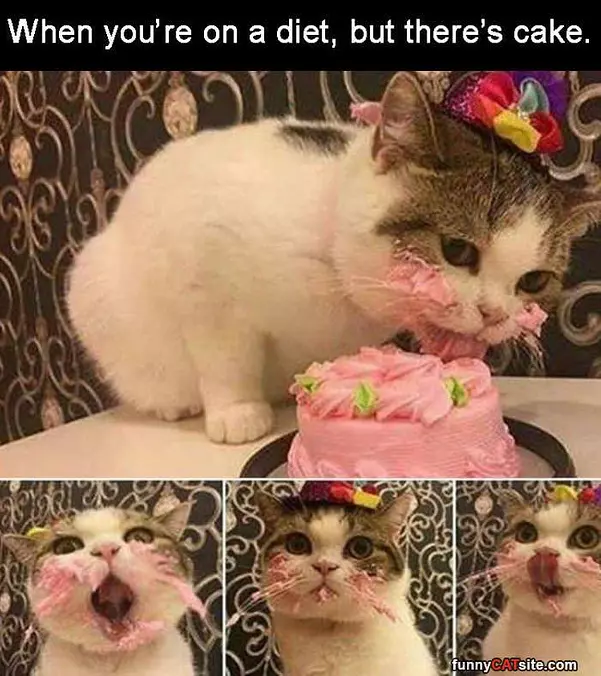 What Diet
