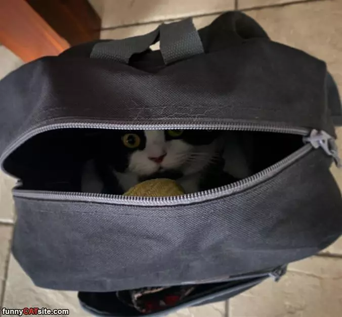 I Have My Bag And I Love It