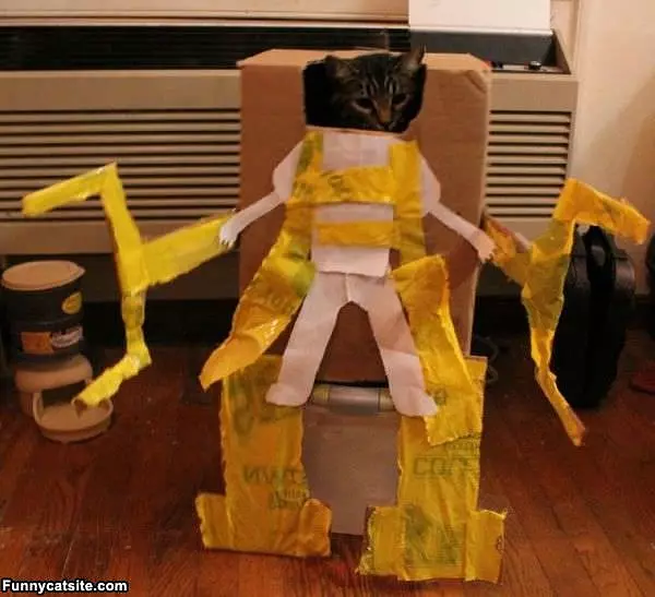 I Am Robo Cat
