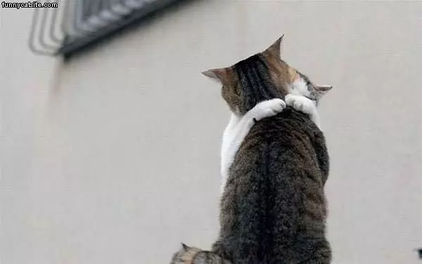 A Hug