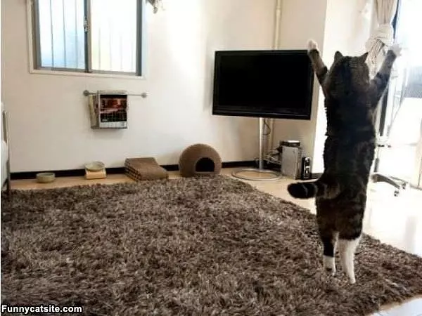 Full Stretch