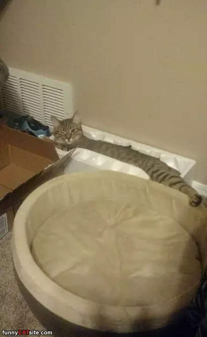 This Box Is Great