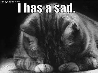 I Has Sad