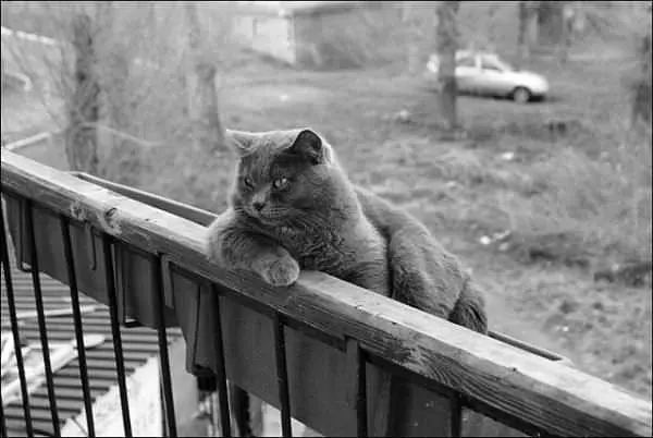 Super Relaxed