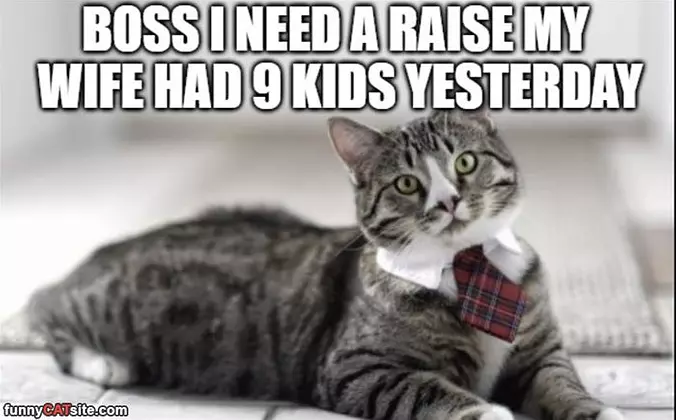 I Need A Raise