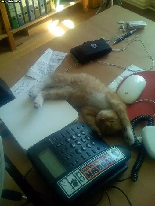Important Call Coming