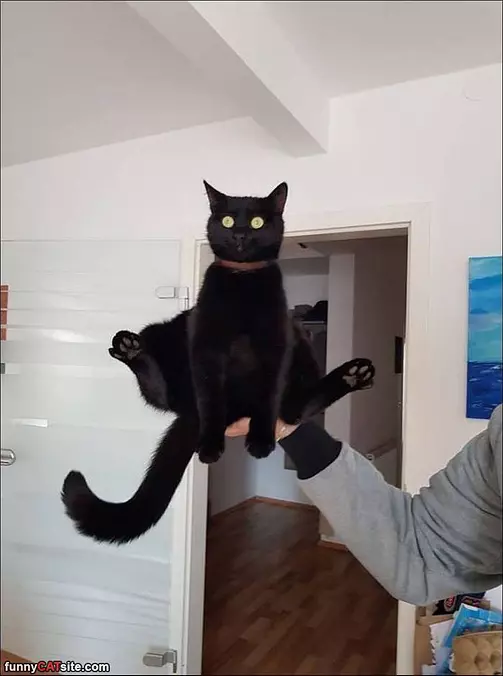 Ready For Trouble