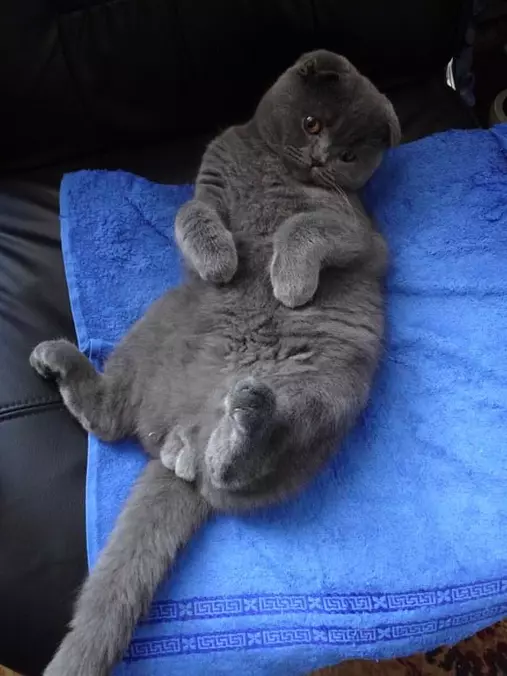 Laying Around