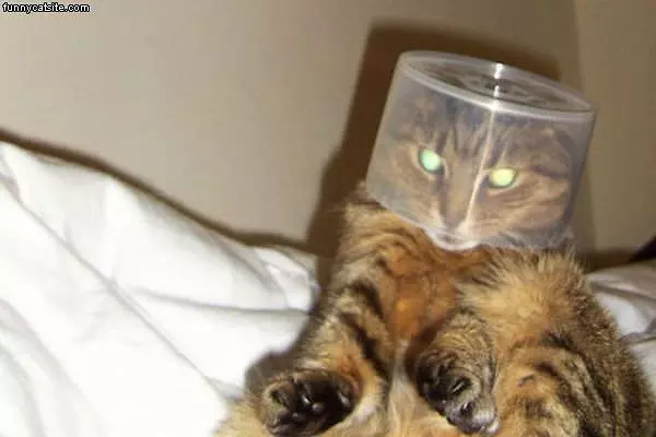 Nice Helmet