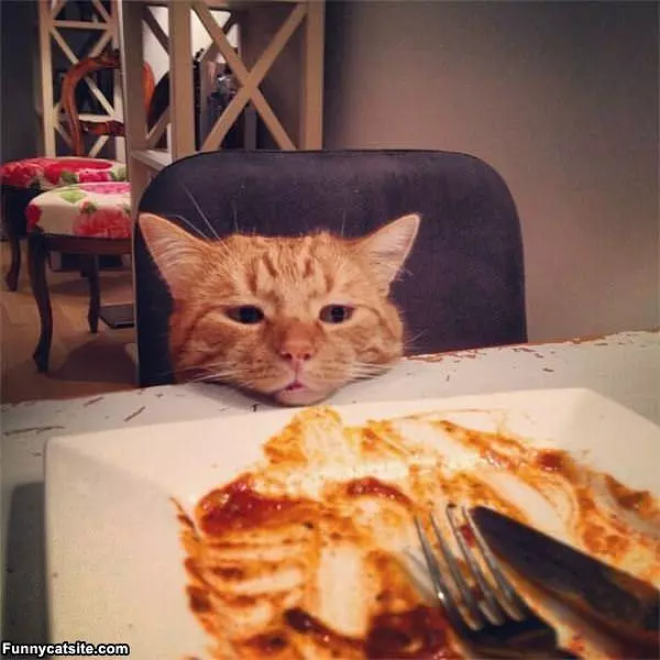 Please Save Me A Bite