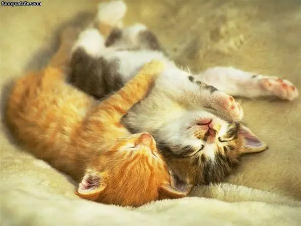 Sleeping And Hugging