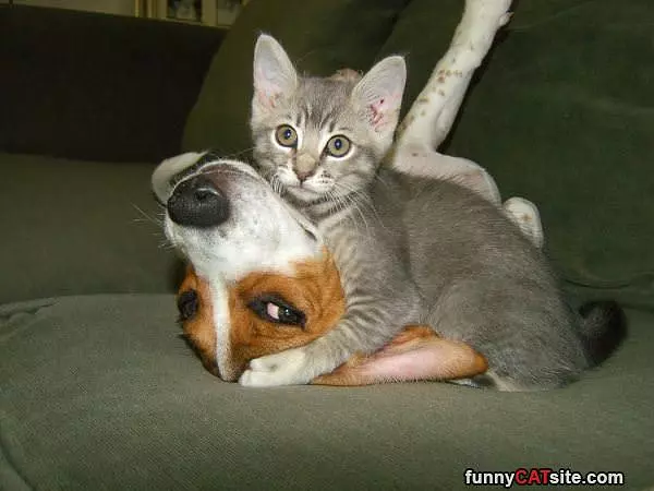 Hanging Around Together