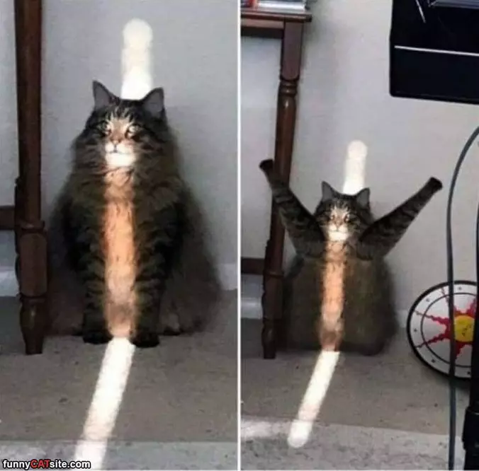 Raaaaaaaaaaa