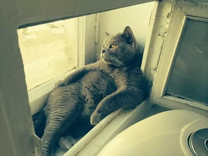 This Is Where I Like To Relax