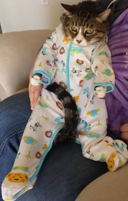 Just Like A Baby