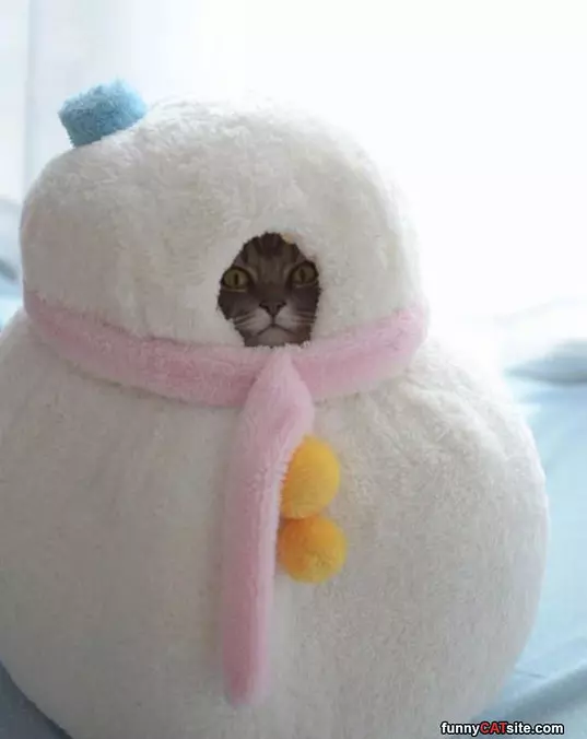 I Am Sooo Warm