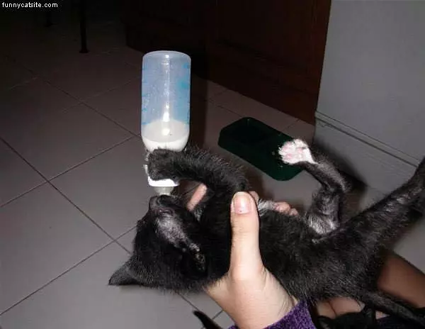I Heart Milk