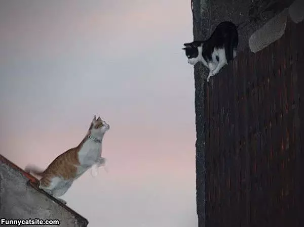Im Coming