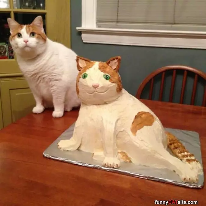 A Nice Cake