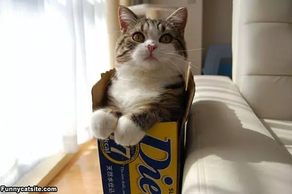 Can I Sleep In Here