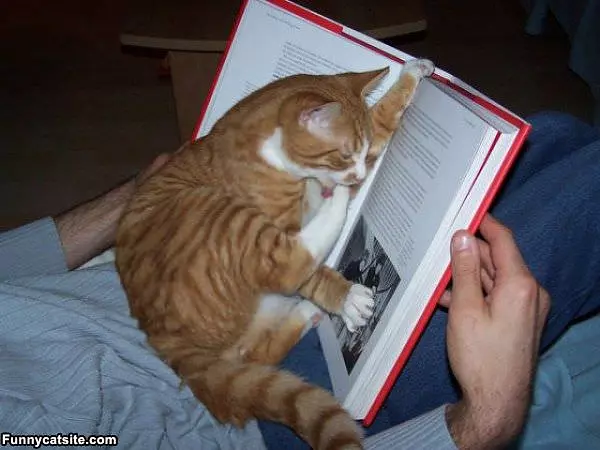 This Book Is Boring